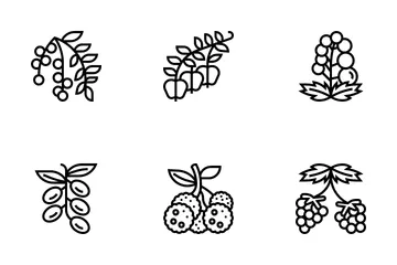 Tipos de frutas vermelhas Pacote de Ícones