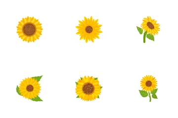 Tournesol Pack d'Icônes