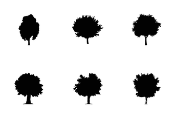 Trees Glyph 3 Icon Pack