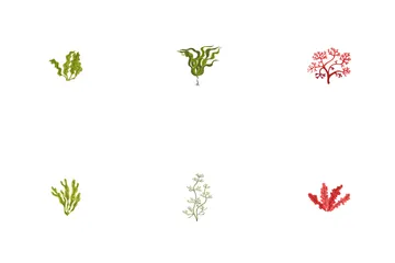 Types Of Exotic Algae Icon Pack