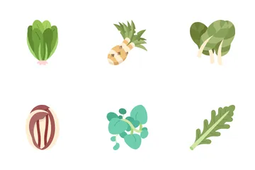 Types Of Lettuce Icon Pack