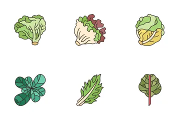 Types Of Lettuce Icon Pack