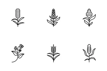 Wheat Grain Plant Icon Pack