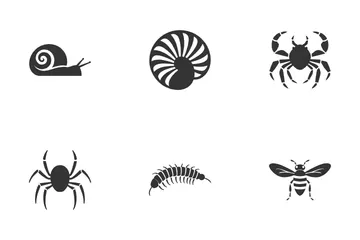 Wild Wonders 1 Icon Pack
