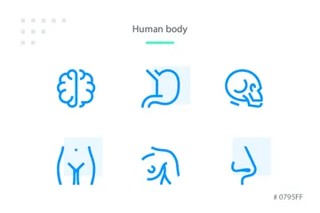 Human Body Icon Pack