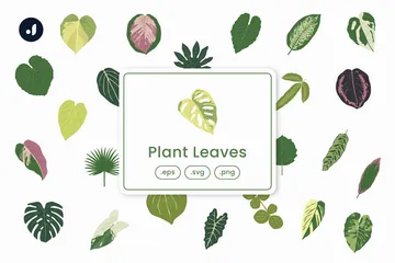 Plant Leaves Icon Pack