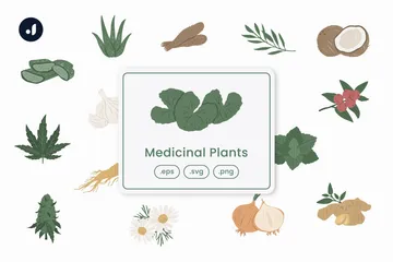 Plantas medicinais Pacote de Ícones