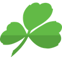 Aer Lingus Icon