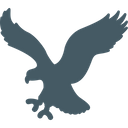 American Eagle Icon