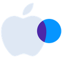 Apple Logo Company Icon