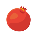 Apricot Realistic Healthy Food Icon