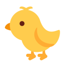 Baby Chick Chicken Icon