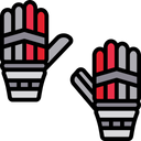 Batting Gloves Icon