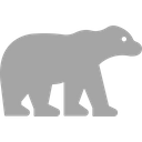 Bear Mammal Animal Icon