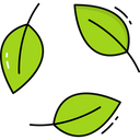 Biodegradable Ecology Recycling Icon