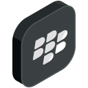 Blackberry Social Media Icon