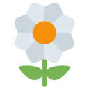 Blossom Daizy Flower Icon