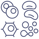Body cells Icon