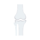 Joint Skeleton Bone Icon