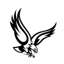 Boston College Eagles Icon