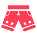 Under Pants Swimsuit Undergarment Icon