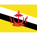 Brunei Darussalam Flag Icon