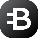 Bytecoin Cryptocurrency Crypto Icon