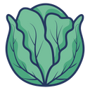 Cabbage Salad Vegetable Icon