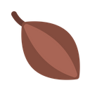Chocolate Fruit Cacao Icon