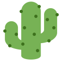 Cactus Plant Malocactus Icon