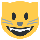 Cat Face Mouth Icon