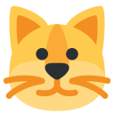 Cat Face Pet Icon