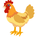 Bird Chicken Domestic Animal Icon