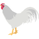 Chicken Fly Cock Icon