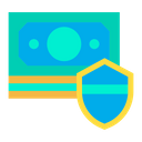 Coin Shield Money Currency Icon