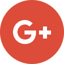 Connection Google Plus Icon