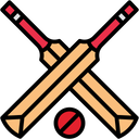 Cricket Logo Icon
