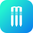 Cricket Stumps Wicket Icon