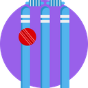 Cricket Wicket Stumps Wicket Icon