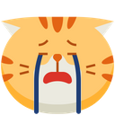 Cry Emoticon Cat Icon