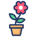 Daisy Flower Chamomile Blossom Icon