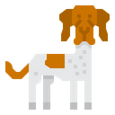 Danish Pointer Dog Icon
