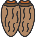 Date Fruit Icon