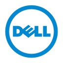 Dell Icon