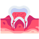 Dental Nerve Icon