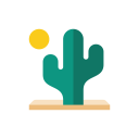 Desert Icon