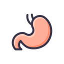 Digestion Stomach Getroenterology Icon