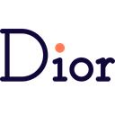 Dior Icon