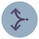 Divide Arrow Icon