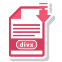 Divx File Format Icon